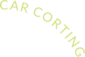 CAR COATING